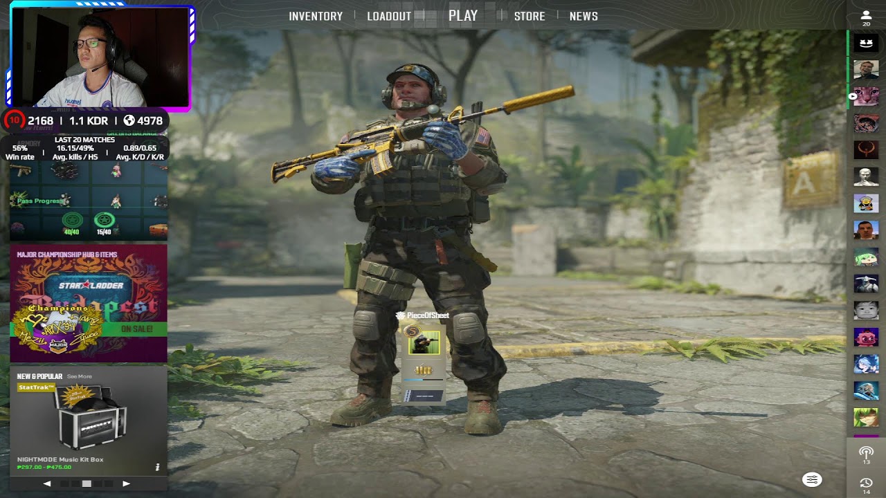 Faceit Level 10 "SOLO Q"