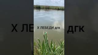 Рыбалка 13 Мая Х Лебеди Дгк Краснодарский Край