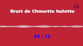 Télécharger bruitage de Chouette hulotte mp3 2021 Dernières | BruitagesGratuits screenshot 5