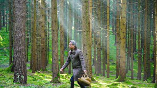 Beautiful Germany | Foraging For Mushrooms | JAY STEPHAN