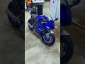 yamaha blue🤌🏾 #motorcycle #yamaha #r6 #viral #shorts #youtube #dmvamg #600cc #bike #bikelife