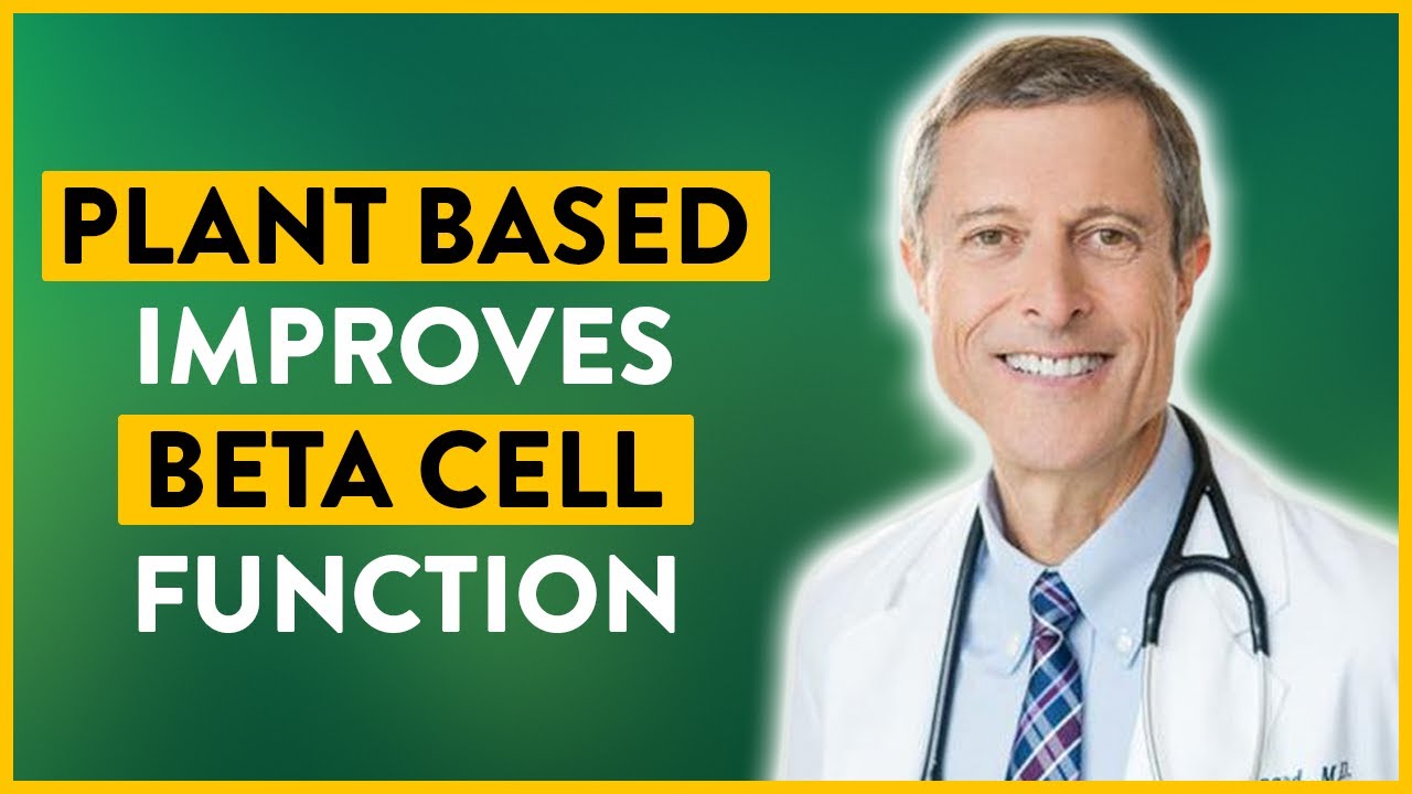 How a PlantBased Diet Improves BetaCell Function (Pancreas
