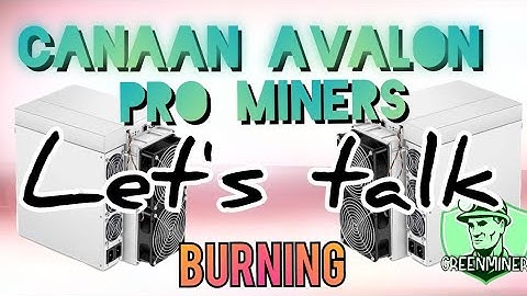 Canaan Avalon Pro Miners Hooked up and talking Burns! #gem #bnb #crypto #mining #web3 #defi