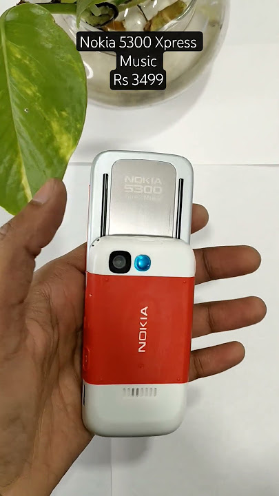 Жастардың порно суреттері Еркек бодибилдермен порно