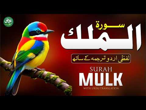 Surah Mulk سورة الملك with Urdu & Hindi Translation | Beautiful Quran Tilawat | Quran Urdu Abbas TV