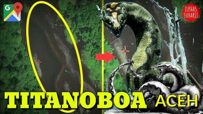 Sariq bilan nemis porno