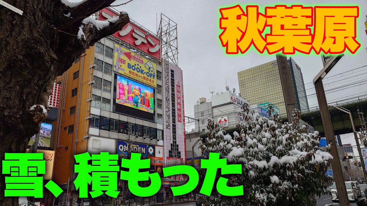 積雪の秋葉原を散歩する。まさか積もるとは思わないじゃん【アキハバラジオ第196回】 #秋葉原 #散歩
