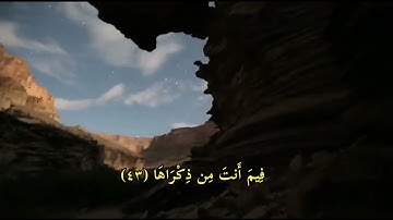 أجمل تلاوه (للشيخ رعد الكردي يسألونك عن الساعة )حالات واتس آب قرآن#آلله #قرأن #fyp #foryou #foryoupa
