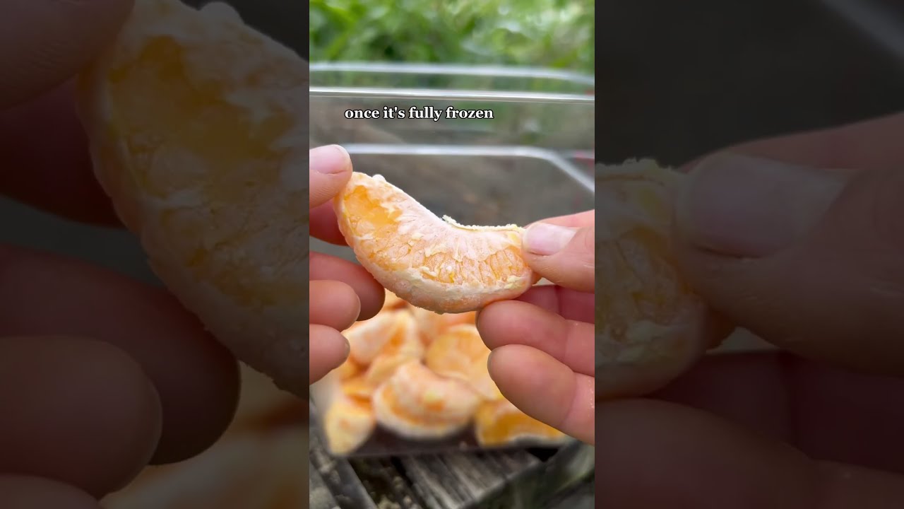 Lets Make Mandarin Ice Cream Fruit