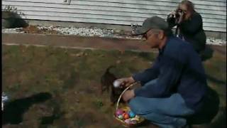 EasterEggs2010_1.AVI