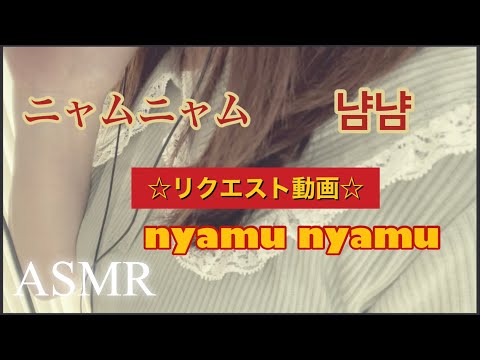 【ASMR】Japanese trigger words、nyamu nyamu、(音フェチ)、ゼロ距離