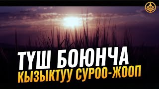 ТҮШ БОЮНЧА КЫЗЫКТУУ СУРОО-ЖООП. Шейх Чубак ажы