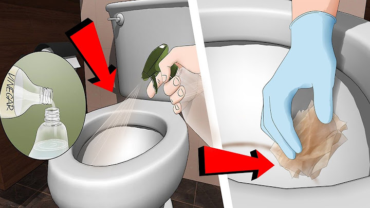 Tu Baño NUNCA volverá a APESTAR si haces esto