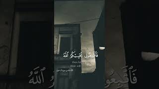 احمد العجمي ال عمران | quran kareem القرآن الكريم احمد العجمي