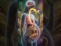 Healthy… but not for everyone? | #pregnancy #baby #food #insidelife360 #shorts