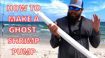 HOW to Make a GHOST SHRIMP PUMP UNDER $20!
