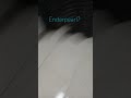 Enderperll?