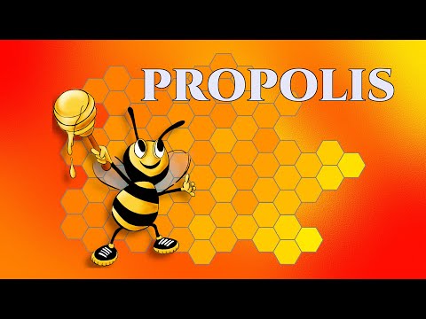 Video: Propolis - Liječenje I Upotreba, Ljekovita I Korisna Svojstva Propolisa. Tinktura Propolisa Kod Kuće