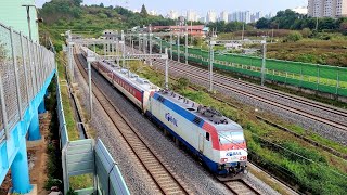 여수엑스포발 용산행 무궁화호 1510열차 육교 통과