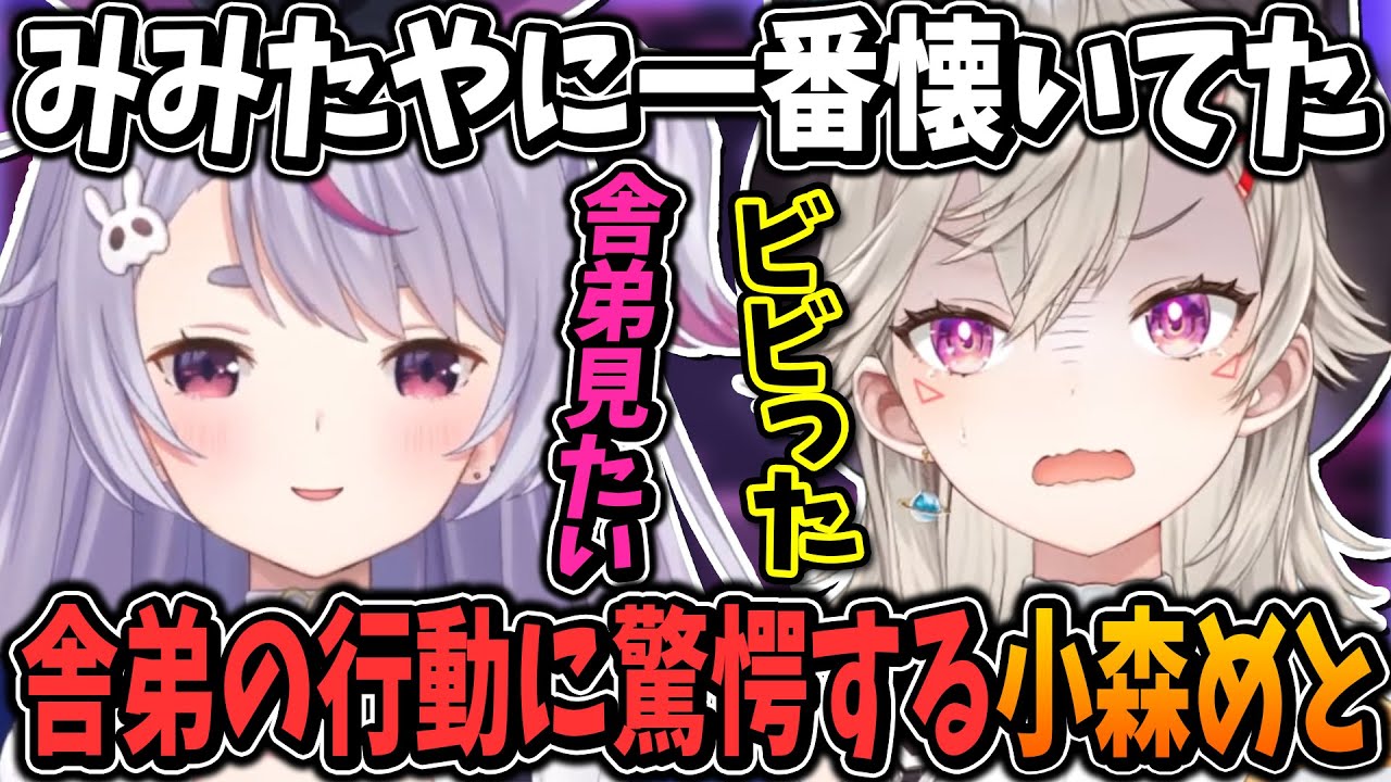 舎弟の兎咲ミミへの懐き具合にビビる小森めと【ぶいすぽ/切り抜き 