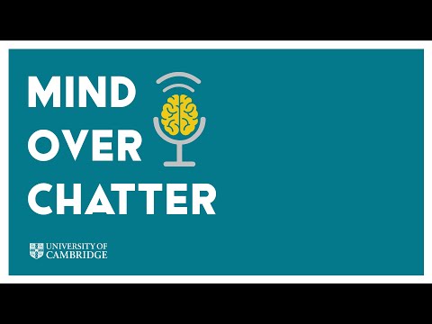 Podcast: What is