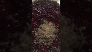 Blow Fly Larvae In The 4C Refrig For 10 Min