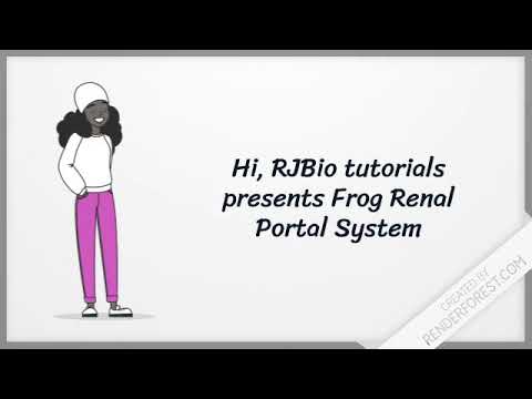 Frog Renal Portal System