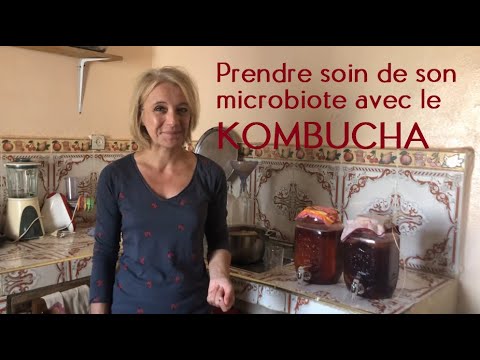 Vidéo: Comment Prendre Soin Du Kombucha