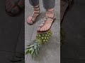 Taupe Gladiator Sandals With Blue Toenails #sandals #footfashion