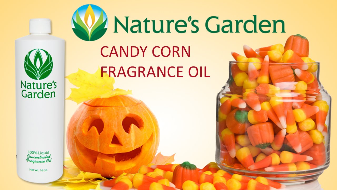 Candy Corn Fragrance Oil Natures Garden YouTube