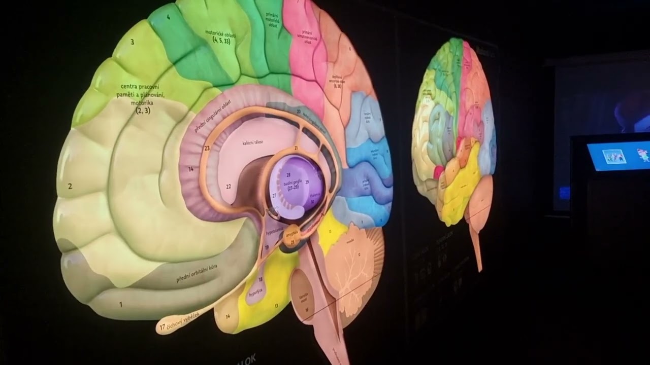 Pevnost poznání v Olomouci.