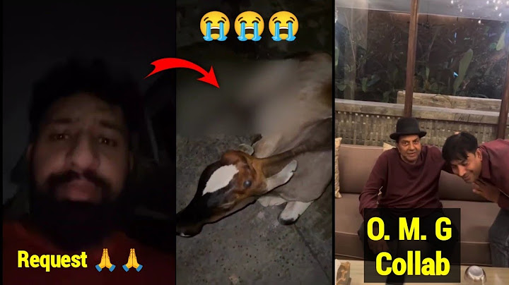 Rajat Dalal Request To His Fans || unexpected collab punit supertrar and dharmendra ||