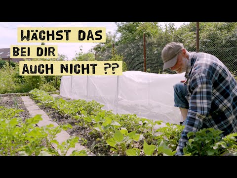 Video: Der Frühling hat begonnen!