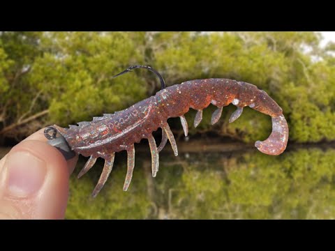 I got REDEMPTION (BIG FISH CAUGHT) | Winter fishing at it’s best 🔥