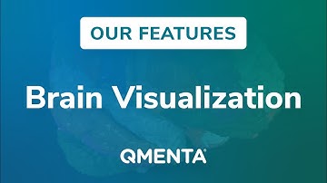 Brain visualization via the QMENTA App