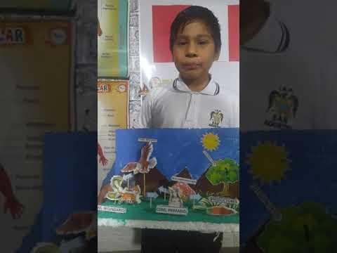 La Cadena Alimenticia