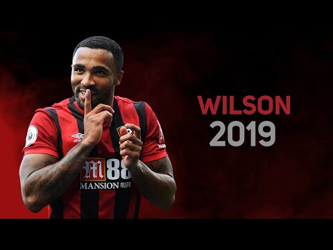 Callum Wilson 2019 - skills & goals | top Bournemouth stricker | HD