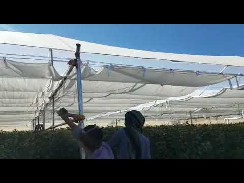 كيفية تغطية وكشف مزارع القات وب اسهل الطرق