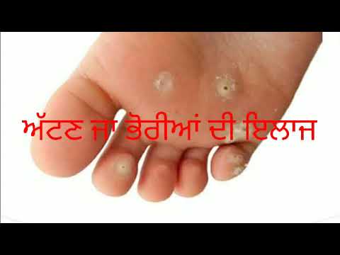 Ramta Memaan Wich (ਰਮਤਾ ਮੇਮਾਂ ਵਿਚ) رمتا میماں وچ