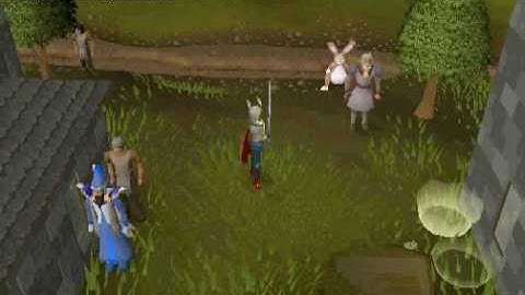 Paradise Pvp 508 - 24.7 rsps - Need Staff