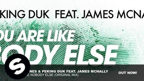 Swanky Tunes & Peking Duk feat. James McNally - You Are Like Nobody Else (Original Mix)