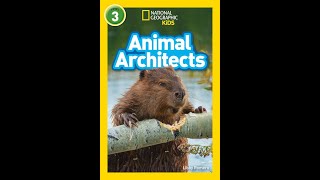 Animal Architects.