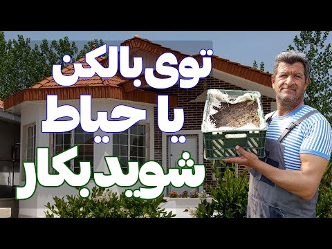 آموزش کاشت شوید مناسب برای داخل خانه یک فصل کامل شوید برداشت کن