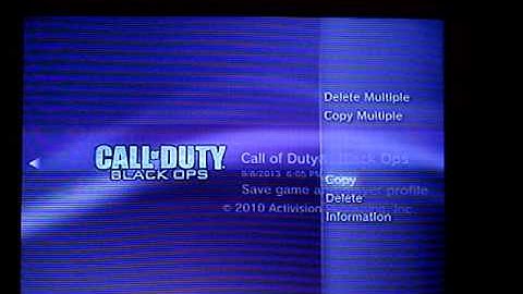 Black Ops Zombies Mods PS3