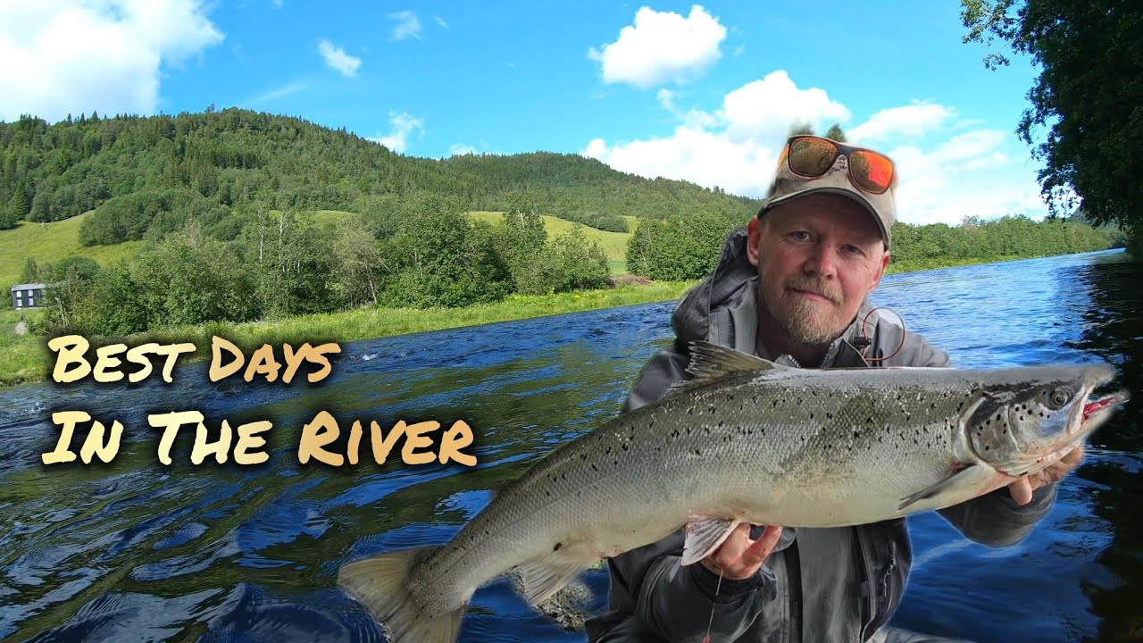 Best Days in the River | Salmon Fishing in June