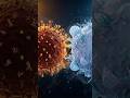 Your Body Has Cells That Hunt Cancer Right Now #cancer #shorts