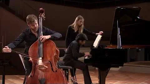 Cesar Franck sonata in A major, 1st mov, double ba...