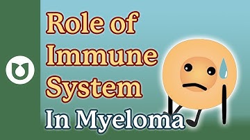 What is the role of an immune system in a myeloma patient? #myeloma