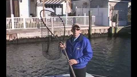 How to choose the correct hoop size for a landing net