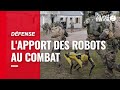 Francuska vojska testirala robotskog psa u simulaciji borbe